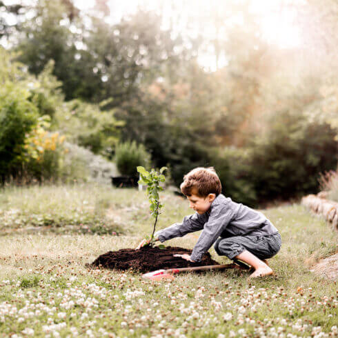 En pojke planterar ett äppelträd