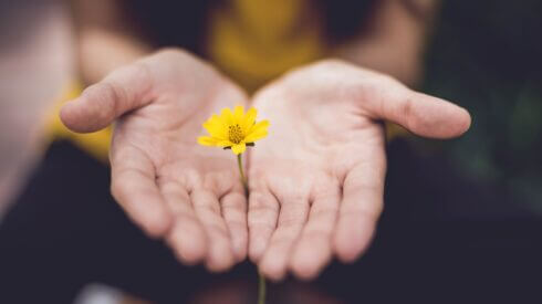 Blomma i hand